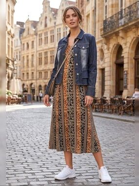 Leopard Stripe Short Sleeve Midi Dress - Taupe & Brown
